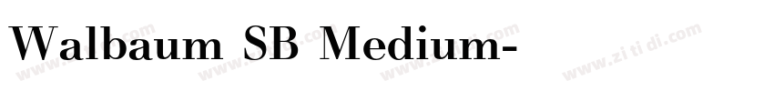 Walbaum SB Medium字体转换